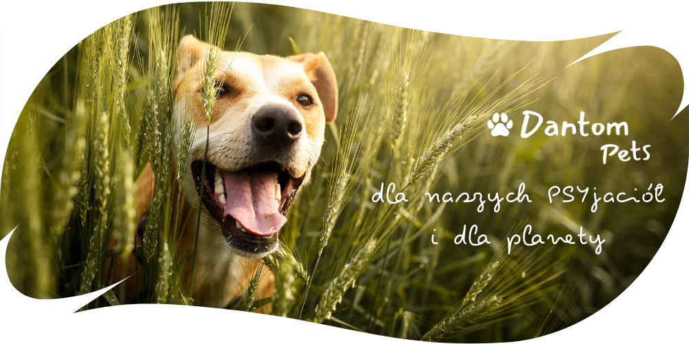 Dantom Pets baner - dla naszych PSYjaciół i dla planety