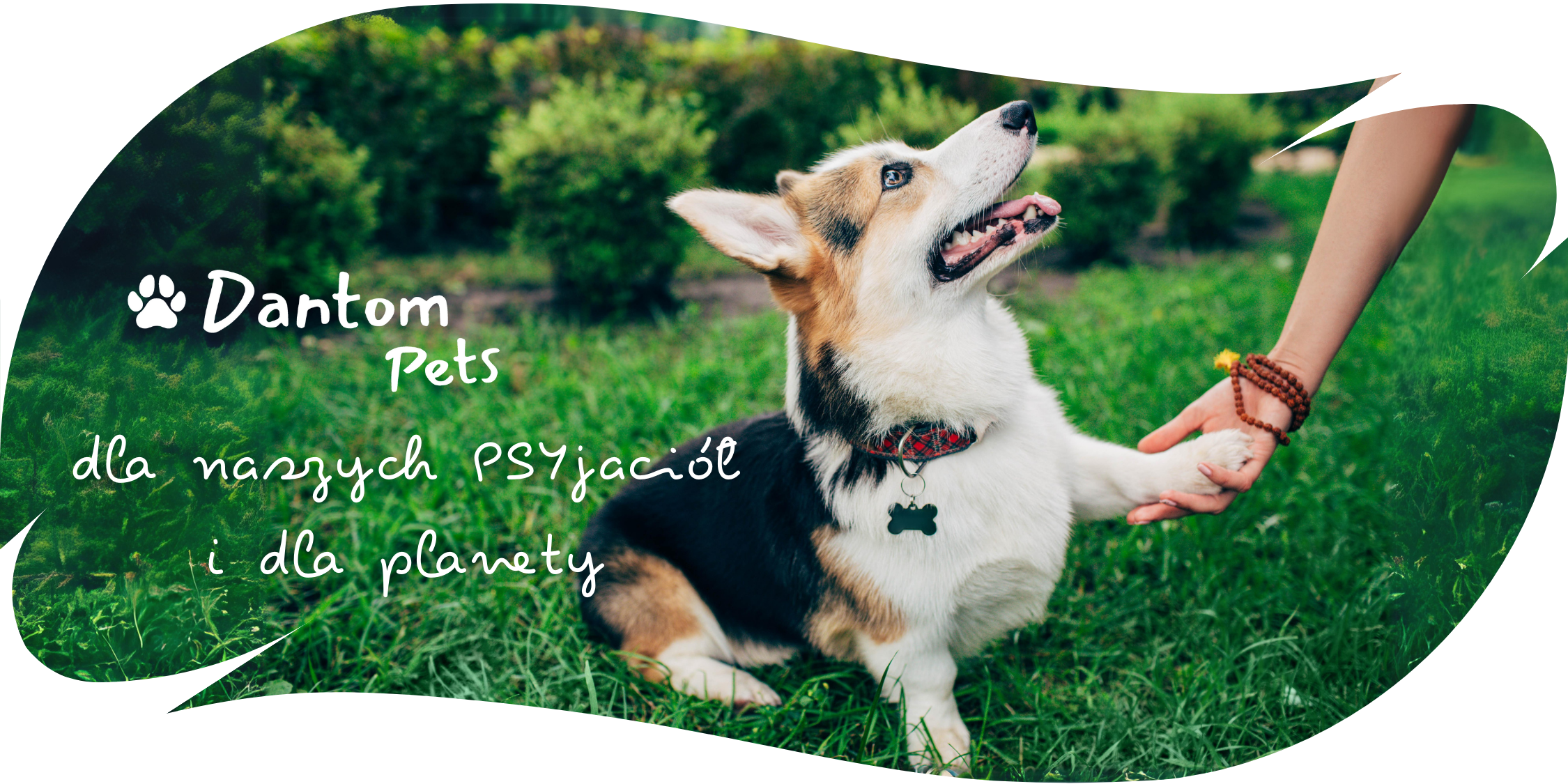 Dantom Pets baner - dla naszych PSYjaciół i dla planety