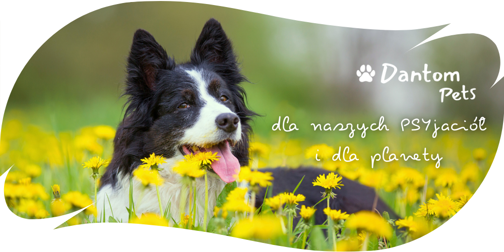 Dantom Pets baner - dla naszych PSYjaciół i dla planety