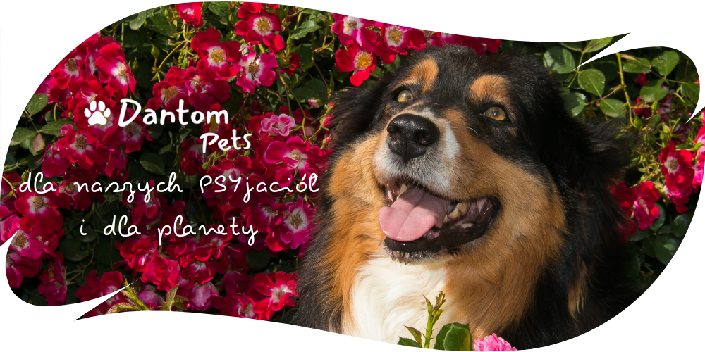 Dantom Pets baner - dla naszych PSYjaciół i dla planety