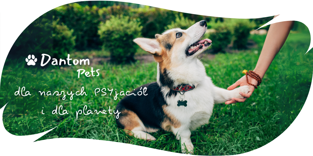 Dantom Pets baner - dla naszych PSYjaciół i dla planety
